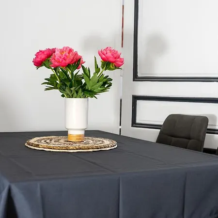 Cannes, 200m To Palais, Walk Everywhere 아파트